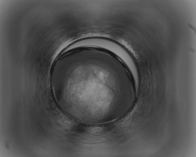 X0000093231173200710031452