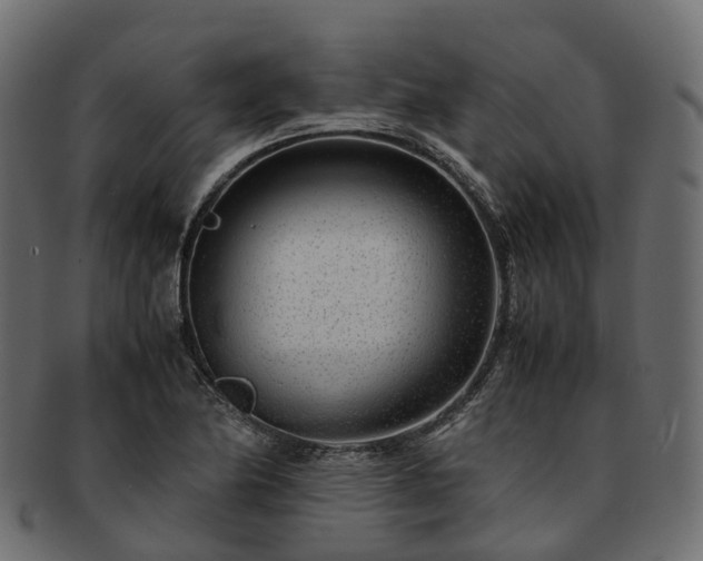 X0000093231174200710031452