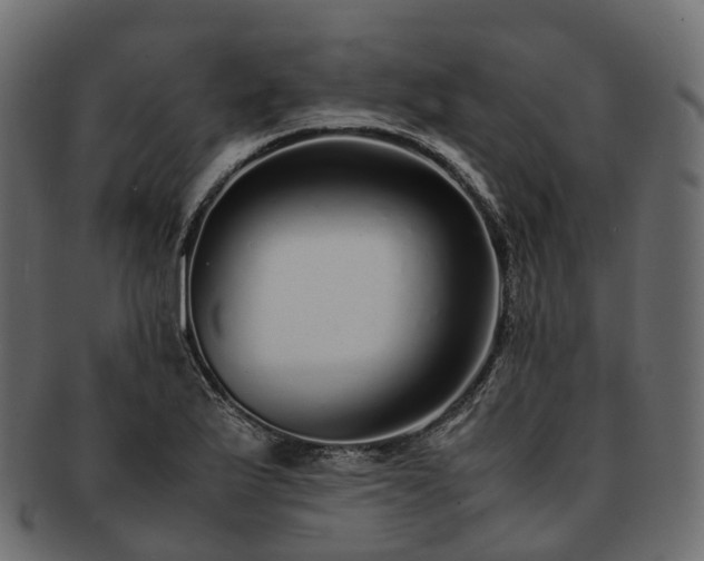 X0000093231175200710031452