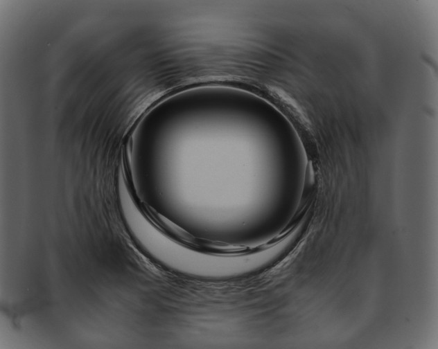 X0000093231177200710031452