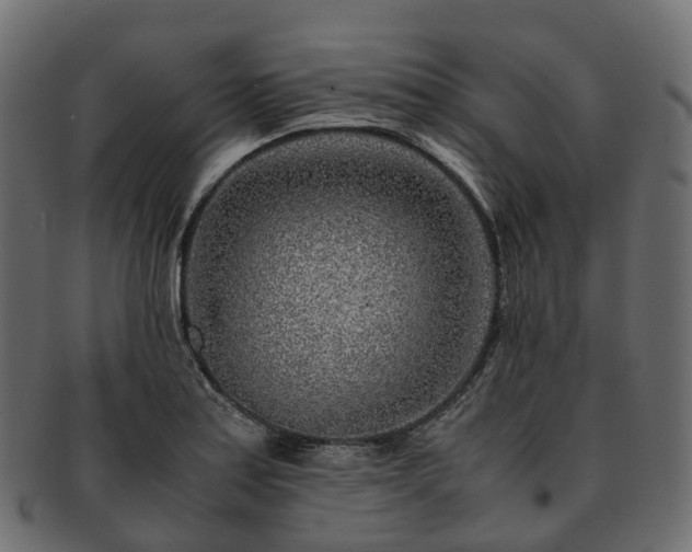 X0000093231179200710031452