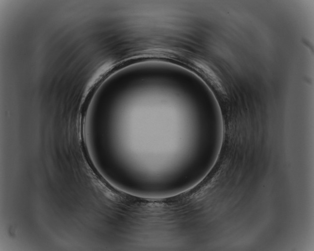 X0000093231180200710031452