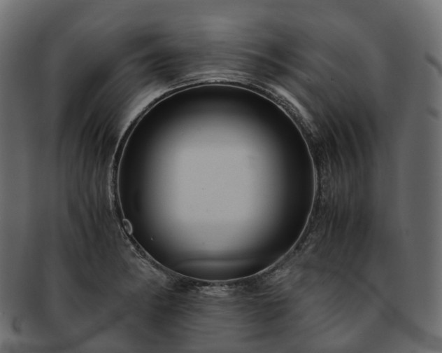 X0000093231182200710031452