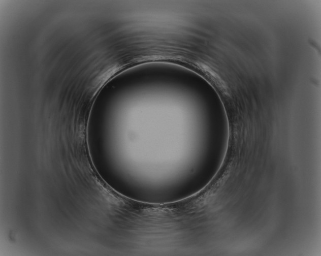 X0000093231185200710031452