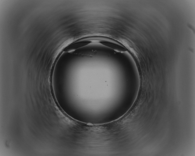 X0000093231189200710031452