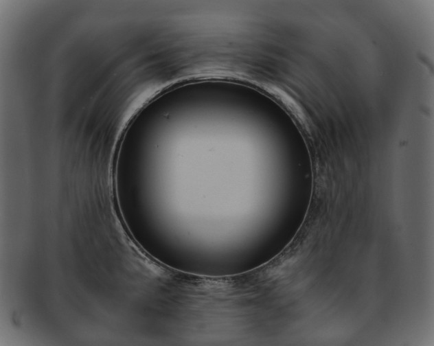 X0000093231191200710031452