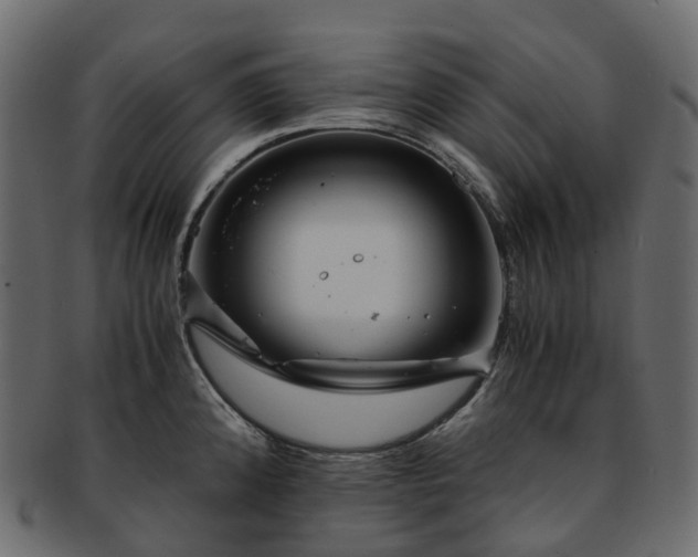 X0000093231192200710031452