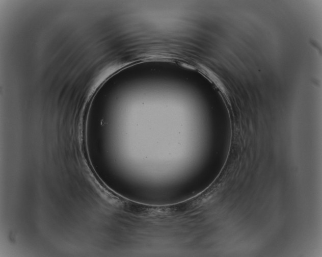 X0000093231195200710031452