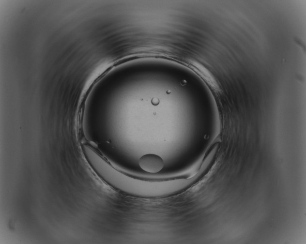 X0000093231196200710031452