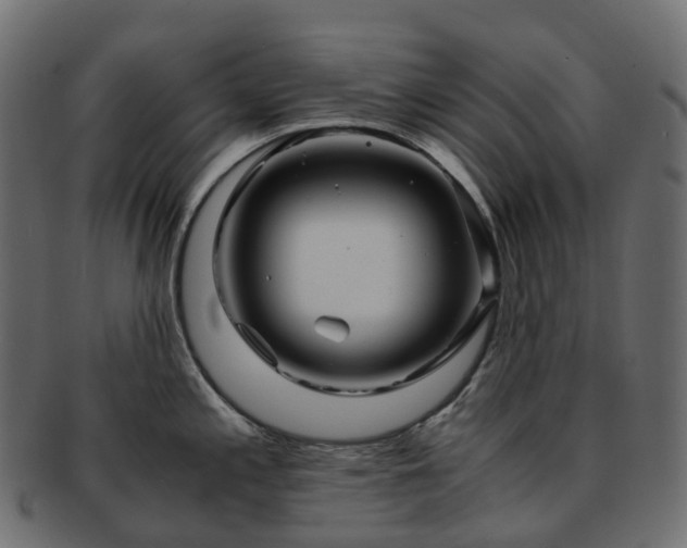 X0000093231197200710031452