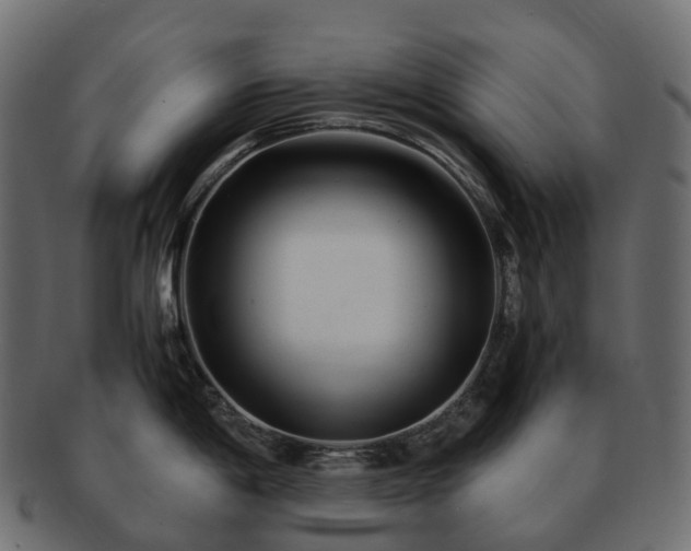 X0000093231198200710031452