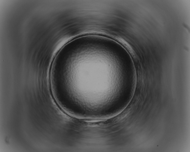 X0000093231199200710031452