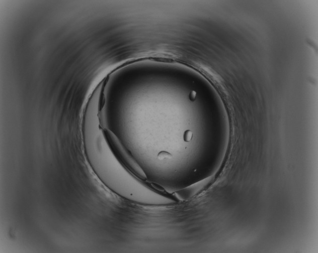 X0000093231200200710031452