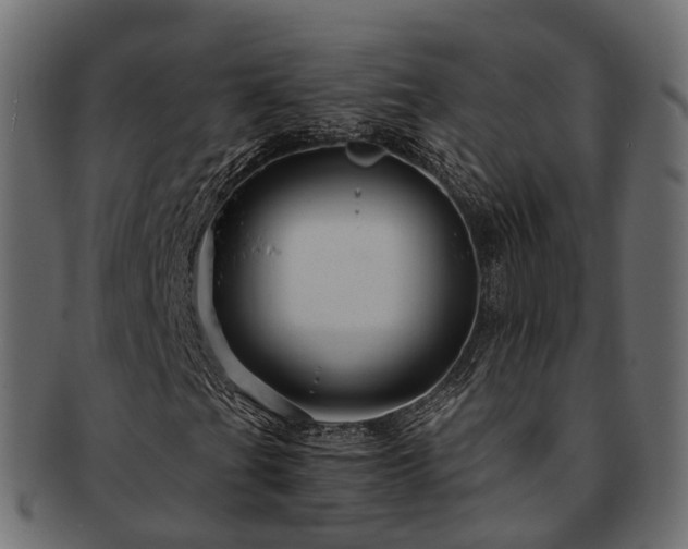 X0000093231201200710031452