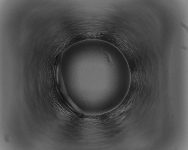 X0000093231202200710031452