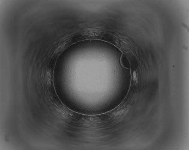 X0000093231203200710031452