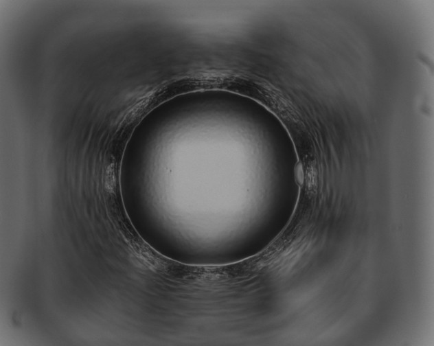 X0000093231204200710031452