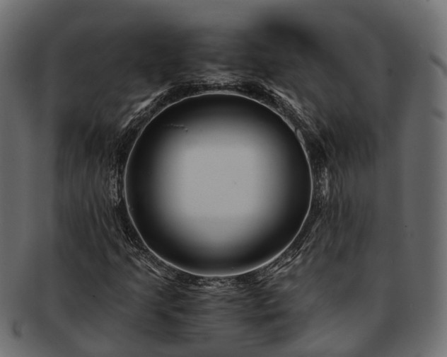 X0000093231205200710031452