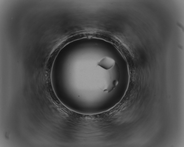 X0000093231208200710031452