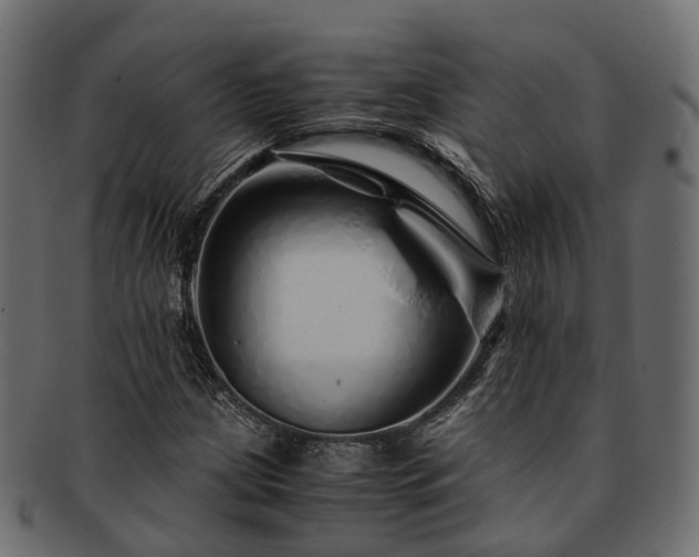 X0000093231209200710031452