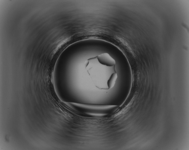 X0000093231210200710031452