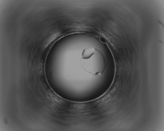 X0000093231211200710031452