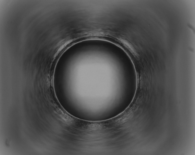 X0000093231212200710031452