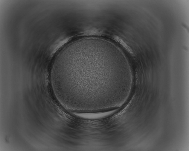 X0000093231213200710031452