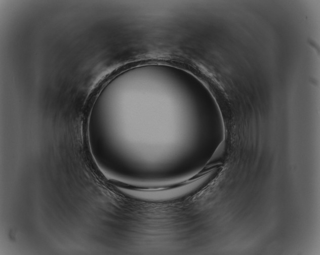 X0000093231214200710031452