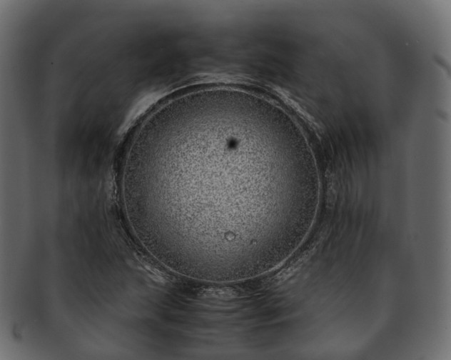 X0000093231215200710031452