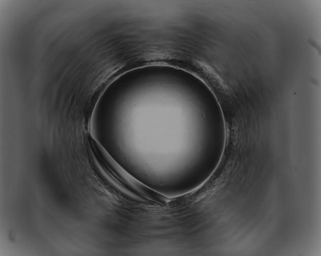 X0000093231217200710031452