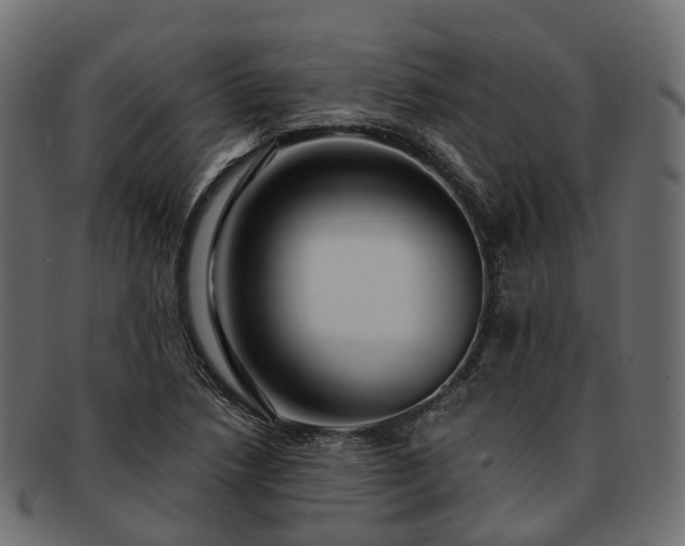 X0000093231218200710031452