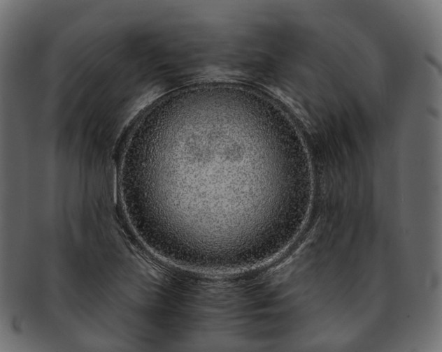 X0000093231219200710031452