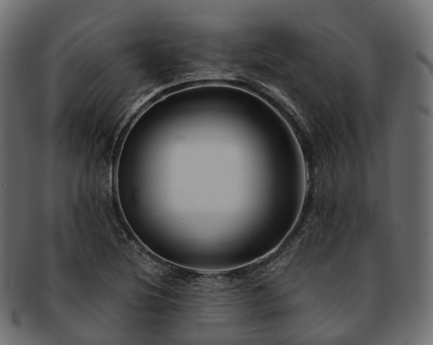 X0000093231220200710031452