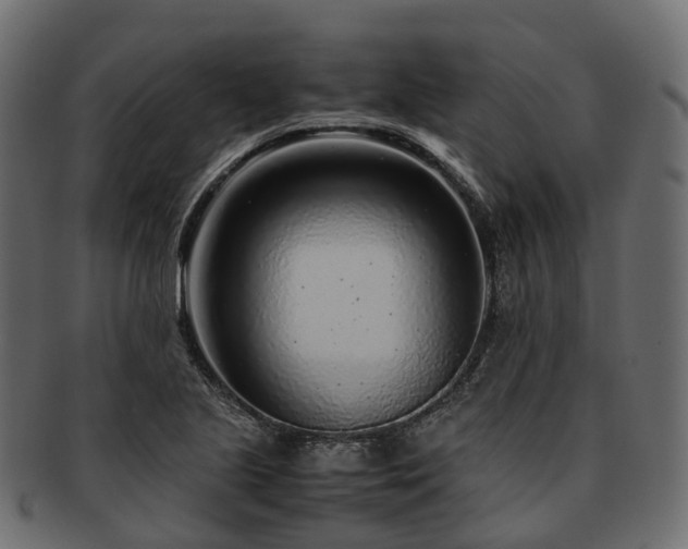 X0000093231221200710031452