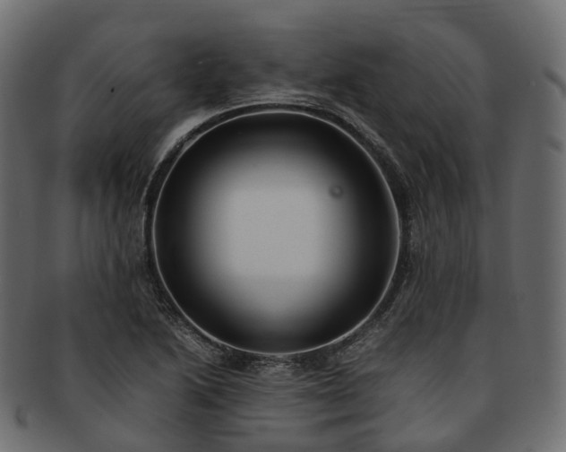 X0000093231222200710031452