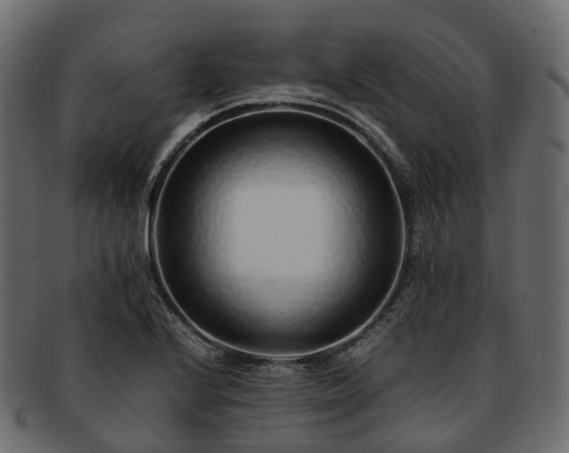 X0000093231224200710031452