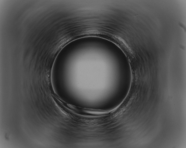 X0000093231225200710031452