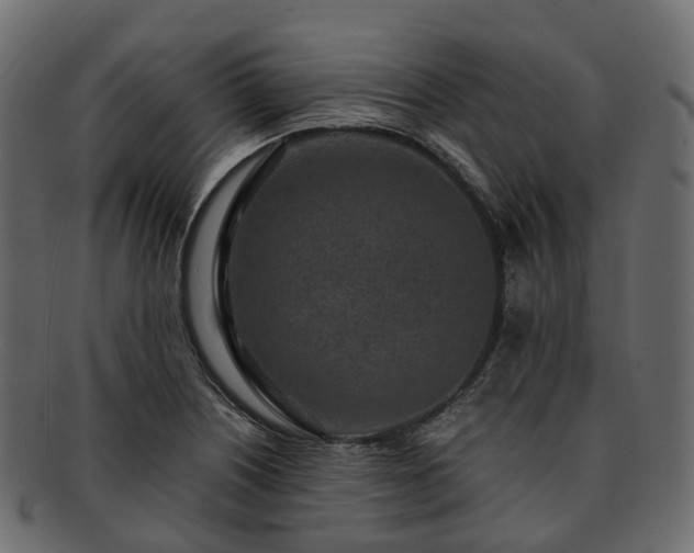 X0000093231226200710031452