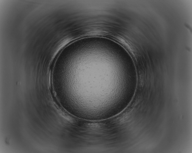 X0000093231227200710031452