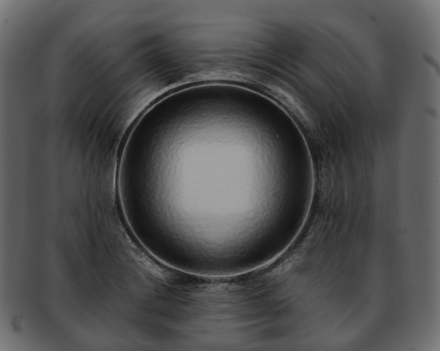 X0000093231228200710031452