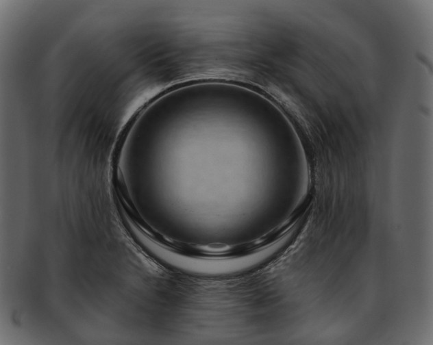 X0000093231230200710031452