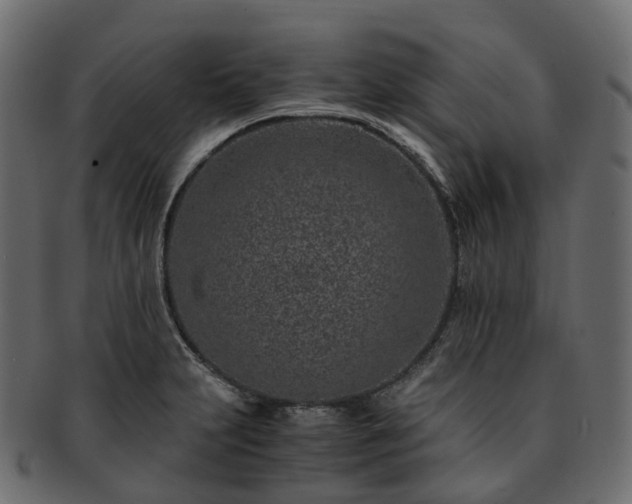 X0000093231231200710031452