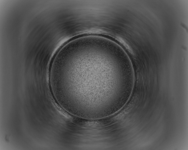 X0000093231232200710031452