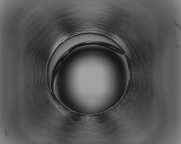 X0000093231234200710031452