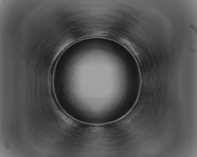 X0000093231235200710031452