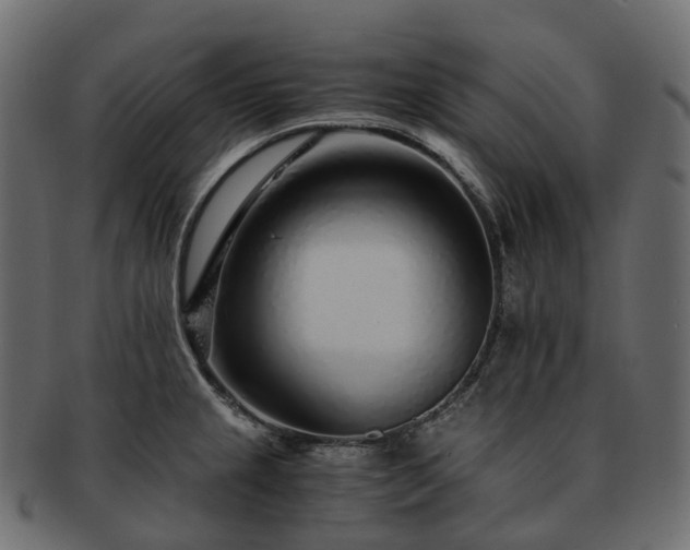 X0000093231237200710031452