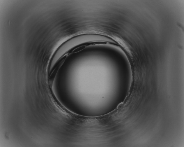 X0000093231238200710031452