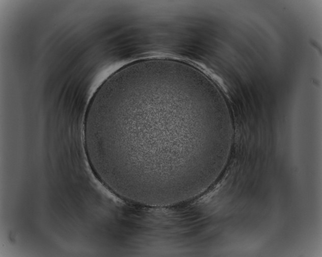 X0000093231239200710031452