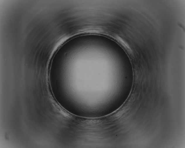 X0000093231240200710031452